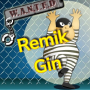 Play Remik Gin